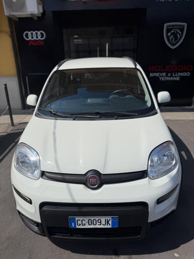 Fiat Panda 1.0 FireFly S&S Hybrid City Life (2)
