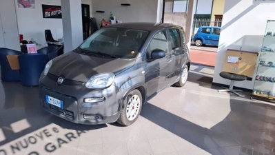 Fiat Panda 1.0 FireFly S&S Hybrid usata