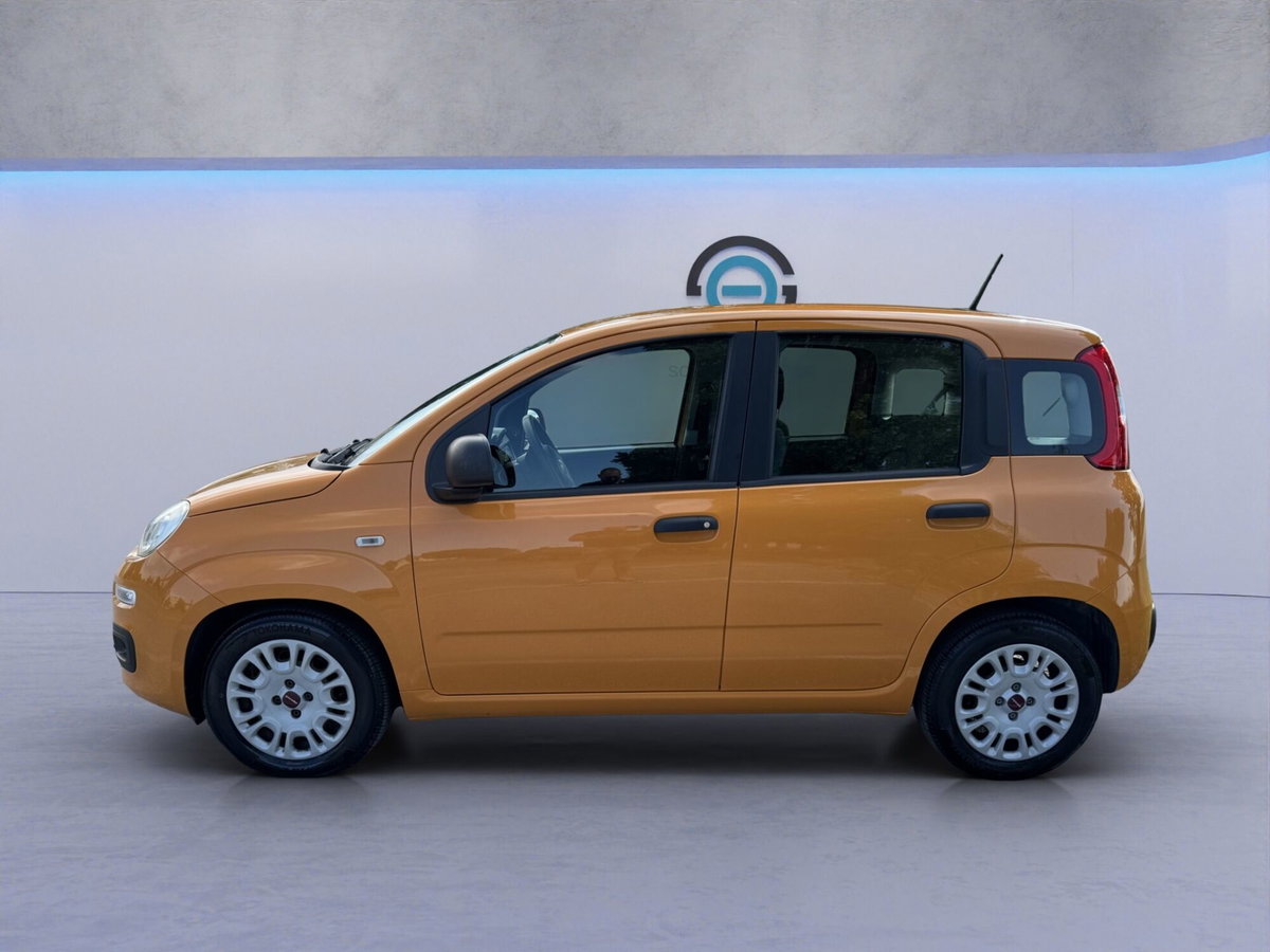 Fiat Panda 1.0 FireFly S&S Hybrid (2)
