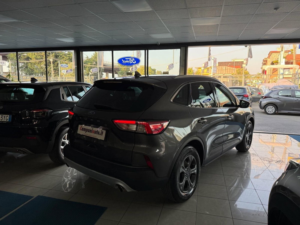 Ford Kuga 1.5 EcoBlue 120 CV 2WD ST-Line (3)