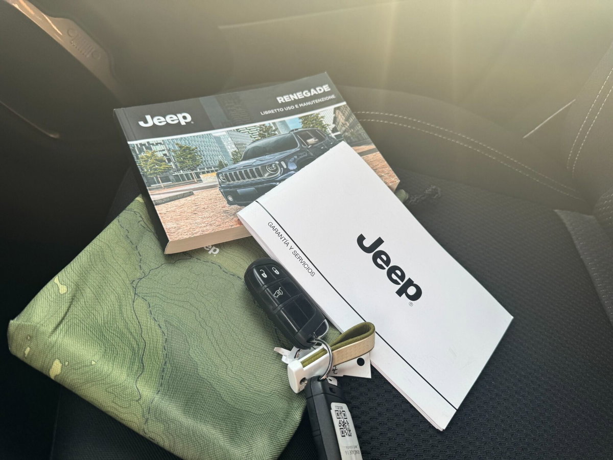 Jeep Renegade 1.6 Mjt 120 CV Limited (15)