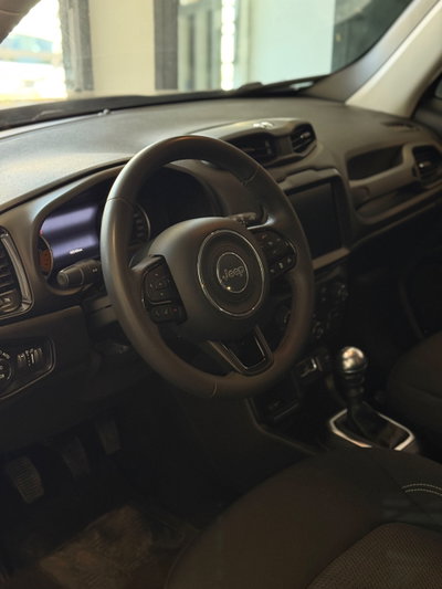 Jeep Renegade 1.6 Mjt 130 CV Limited (9)