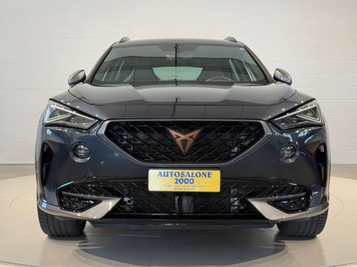 Cupra Formentor Formentor 1.5 TSI (8)