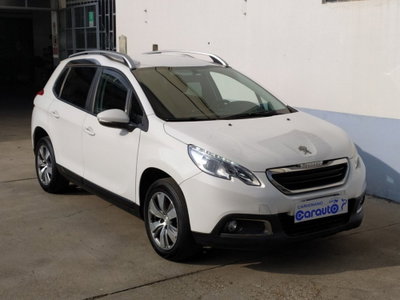 Peugeot 2008 100 Active (15)