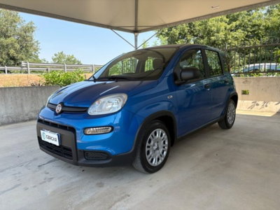 Fiat Pandina 1.0 firefly hybrid s&s 70cv usata