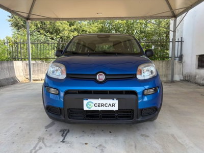 Fiat Pandina 1.0 firefly hybrid s&s 70cv (2)
