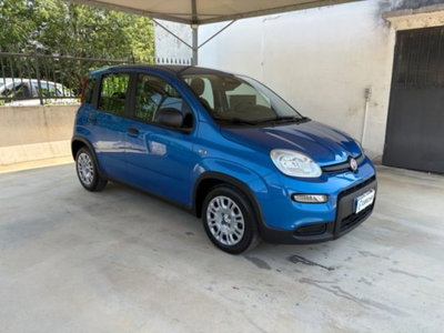Fiat Pandina 1.0 firefly hybrid s&s 70cv (3)