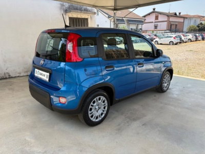 Fiat Pandina 1.0 firefly hybrid s&s 70cv (6)