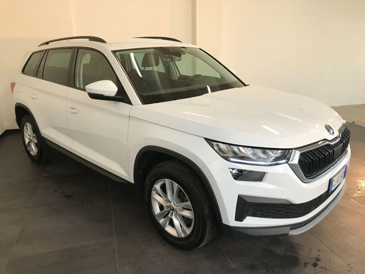 Skoda Kodiaq 2.0 TDI EVO SCR 4x4 DSG 7 posti Style (3)