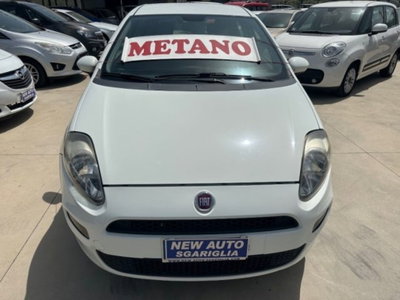 Fiat Punto 1.4 8V 5 porte Natural Power Easy (3)
