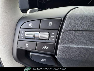 Kia Sportage 1.6 crdi mhev GT-line dct (18)