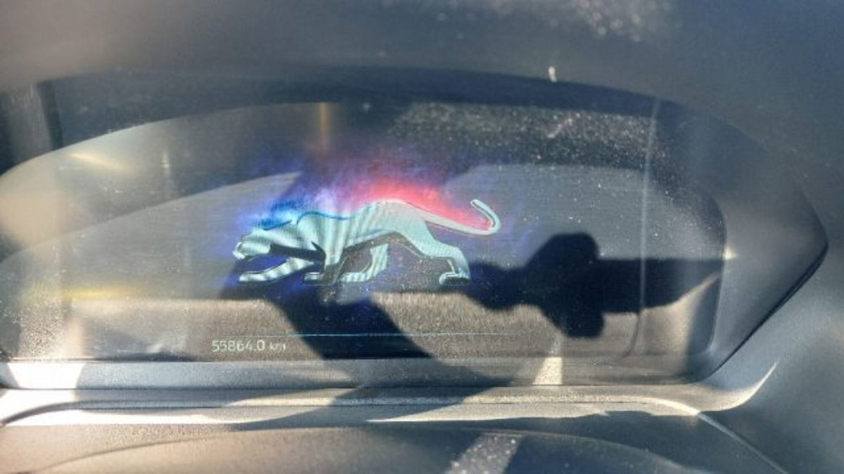 Ford Puma 1.0 EcoBoost Hybrid 125 CV S&S ST-Line X (12)