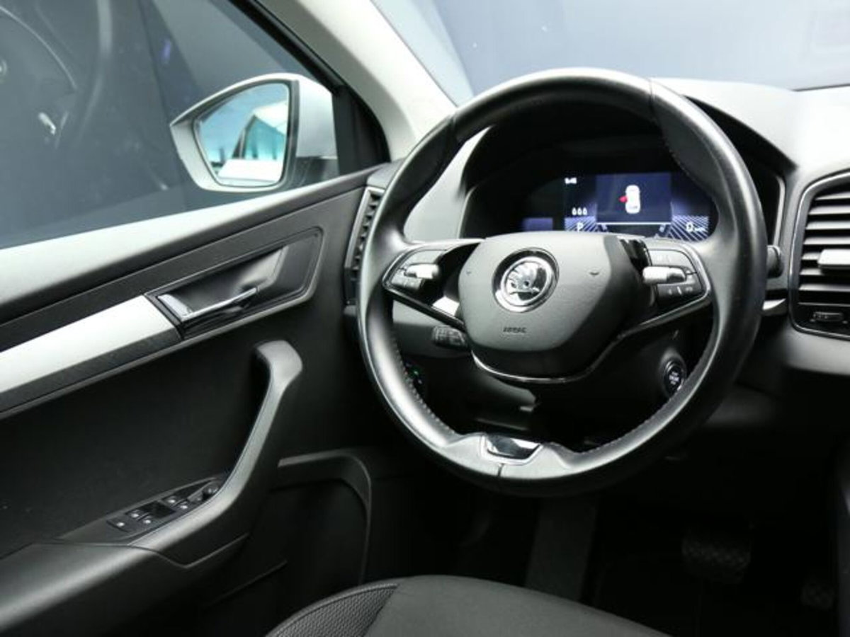 Skoda Karoq 2.0 tdi Executive 115cv (13)
