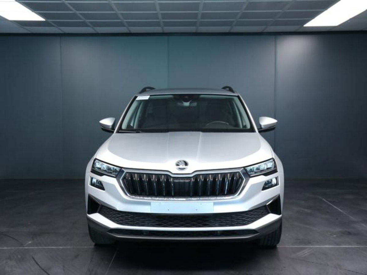 Skoda Karoq 2.0 tdi Executive 115cv (2)