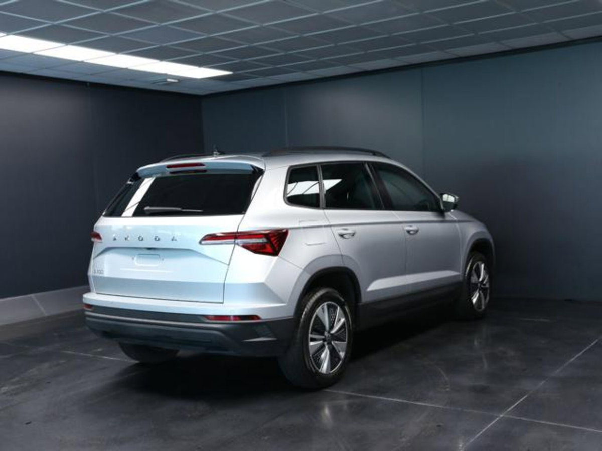 Skoda Karoq 2.0 tdi Executive 115cv (3)