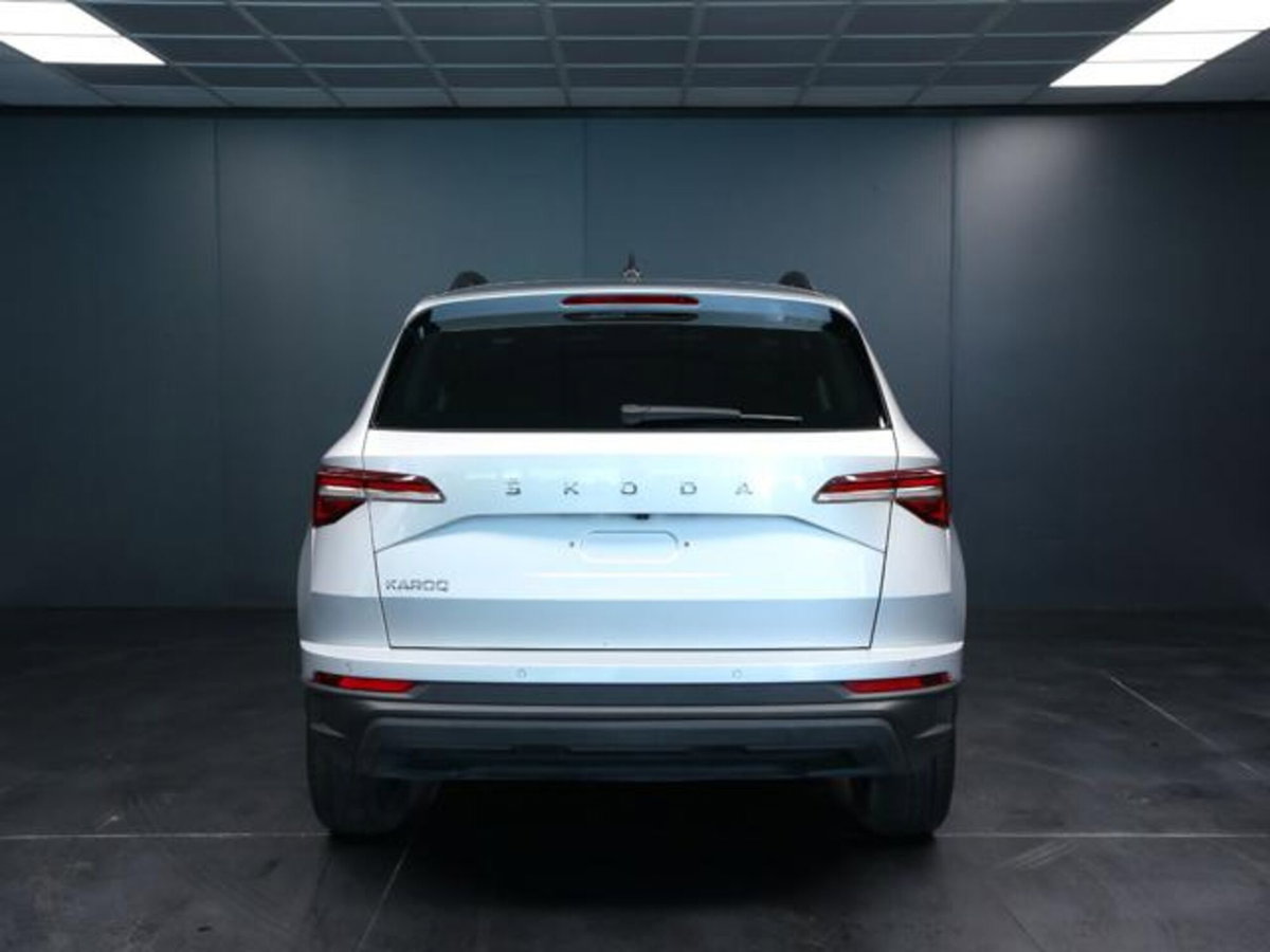 Skoda Karoq 2.0 tdi Executive 115cv (4)