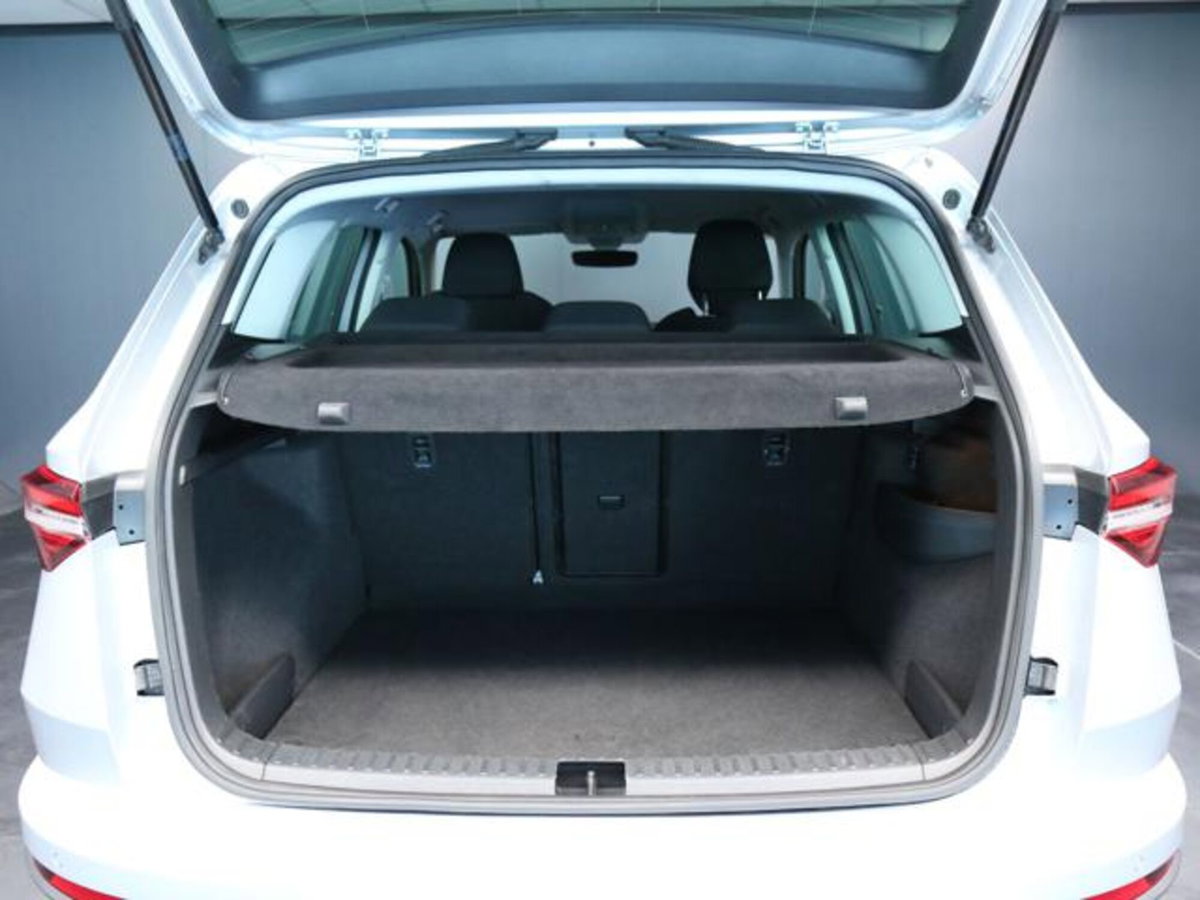 Skoda Karoq 2.0 tdi Executive 115cv (7)
