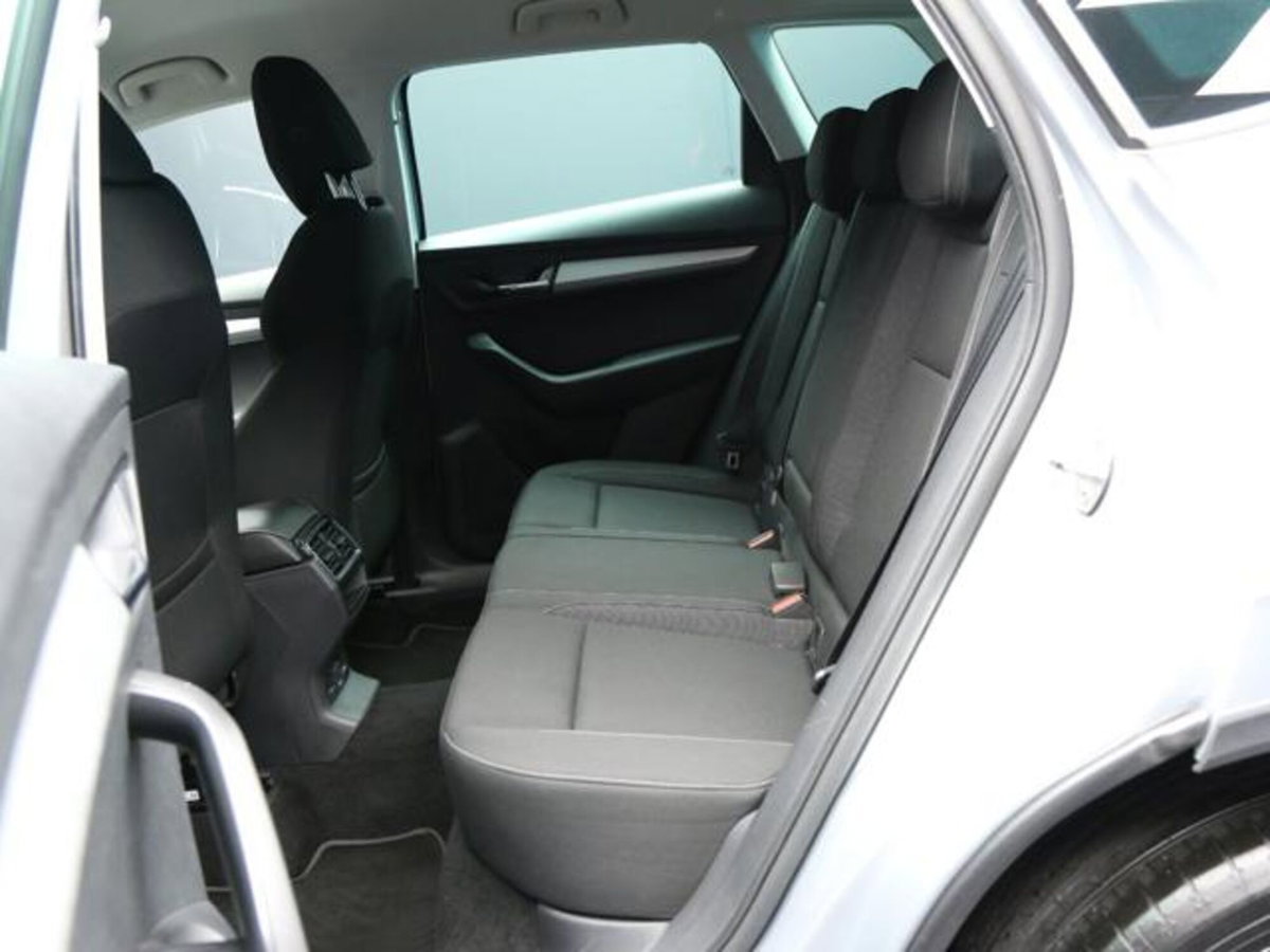 Skoda Karoq 2.0 tdi Executive 115cv (8)