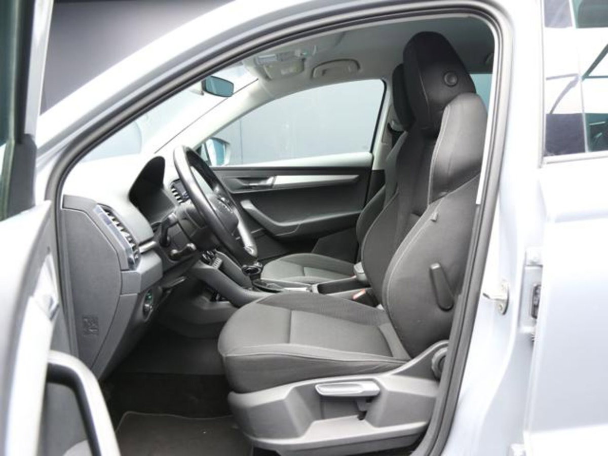 Skoda Karoq 2.0 tdi Executive 115cv (9)