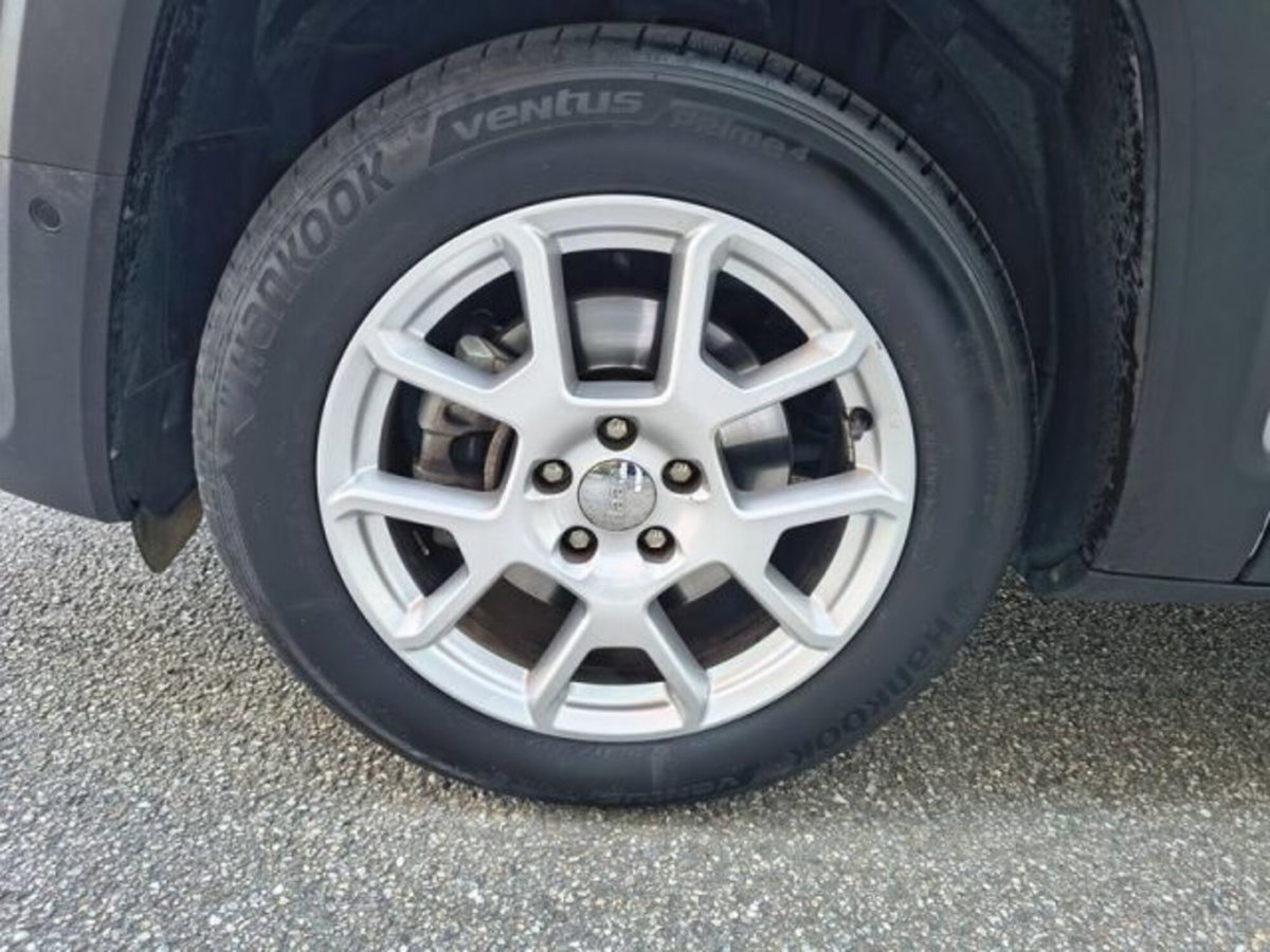 Jeep Renegade 1.3 T4 DDCT Limited (16)
