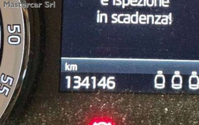 Skoda Karoq 2.0 TDI EVO SCR 115 CV DSG Executive (9)