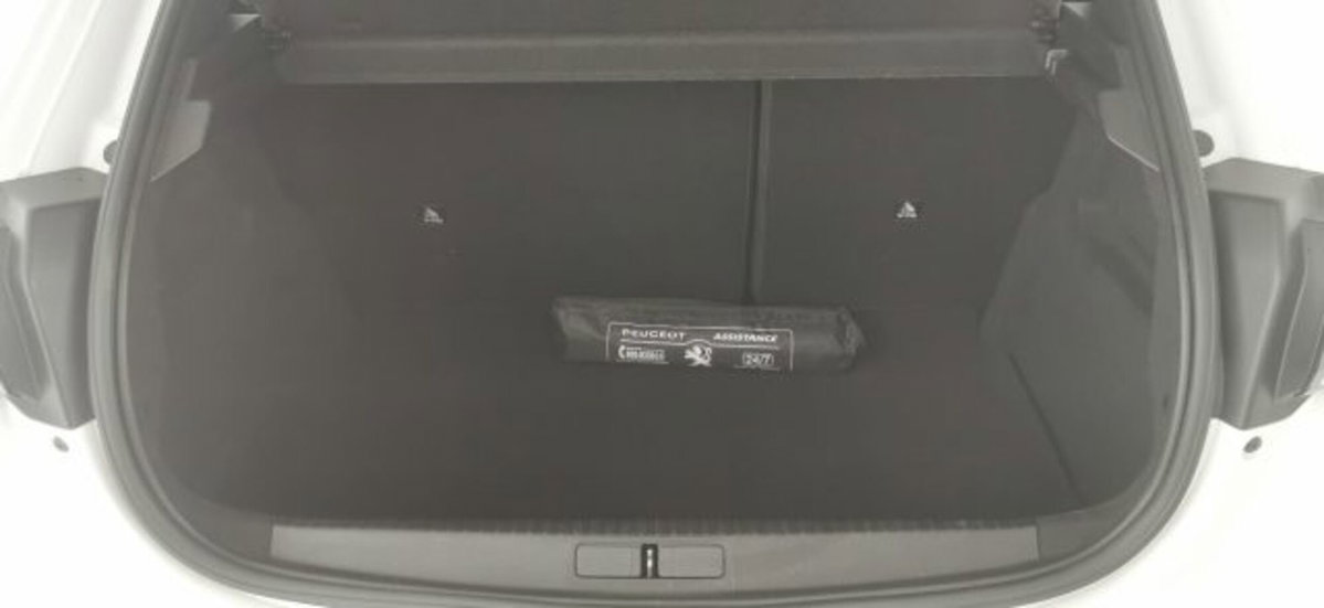 Peugeot 208 PureTech 100 Stop&Start 5 porte GT (16)