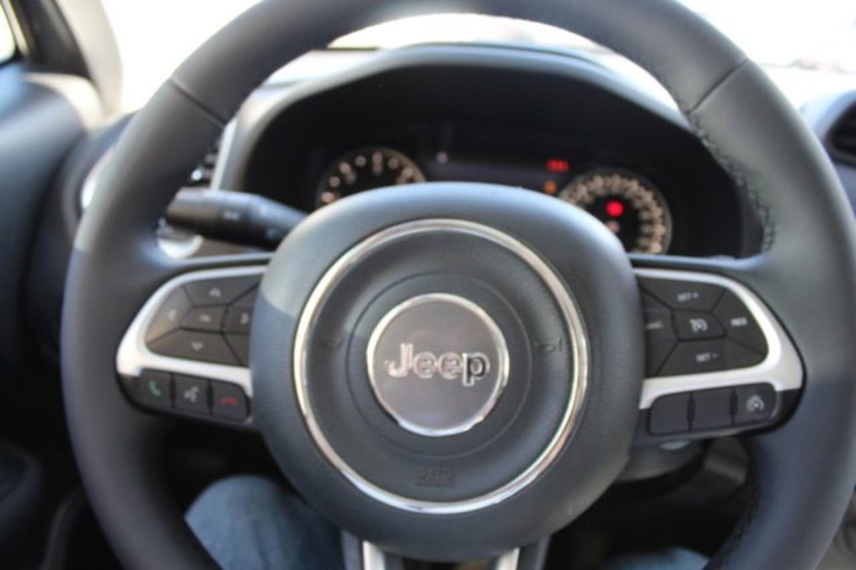 Jeep Renegade 1.6 Mjt 120 CV Limited (7)