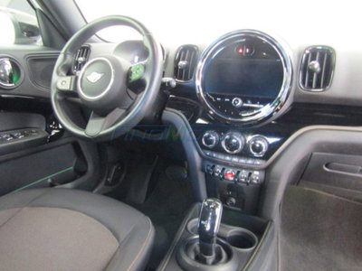 MINI Mini Countryman 2.0 Cooper D Essential Countryman (6)