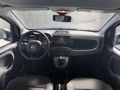 Fiat Panda Cross 1.0 firefly hybrid Cross s&s 70cv 5p.ti (12)
