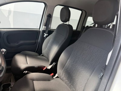Fiat Panda Cross 1.0 firefly hybrid Cross s&s 70cv 5p.ti (13)