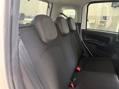 Fiat Panda Cross 1.0 firefly hybrid Cross s&s 70cv 5p.ti (14)