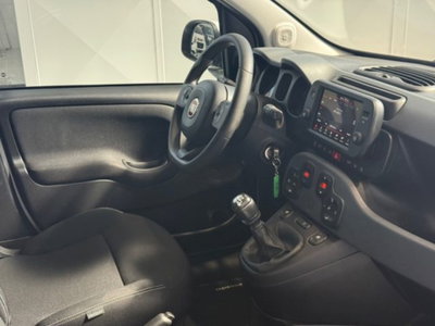 Fiat Panda Cross 1.0 firefly hybrid Cross s&s 70cv 5p.ti (15)