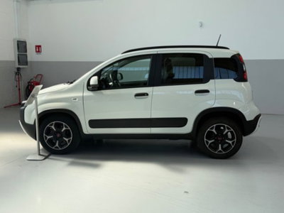 Fiat Panda Cross 1.0 firefly hybrid Cross s&s 70cv 5p.ti (8)