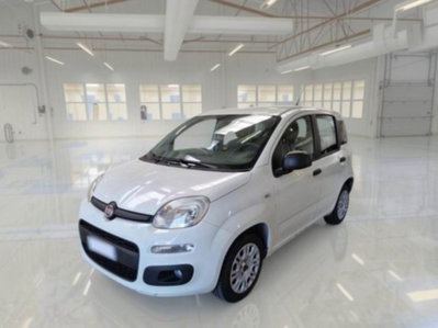 Fiat Panda 1.2 Easy Van 4 posti usata