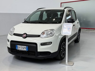 Fiat Panda 1.0 firefly hybrid s&s 70cv 5p.ti usata