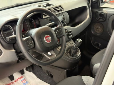 Fiat Panda 1.0 firefly hybrid s&s 70cv 5p.ti (10)