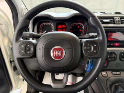 Fiat Panda 1.0 firefly hybrid s&s 70cv 5p.ti (12)