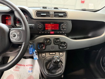 Fiat Panda 1.0 firefly hybrid s&s 70cv 5p.ti (19)