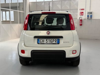 Fiat Panda 1.0 firefly hybrid s&s 70cv 5p.ti (6)