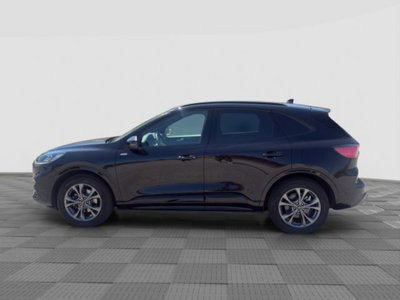 Ford Kuga 2.0 EcoBlue 120CV aut. AWD ST-Line X (2)