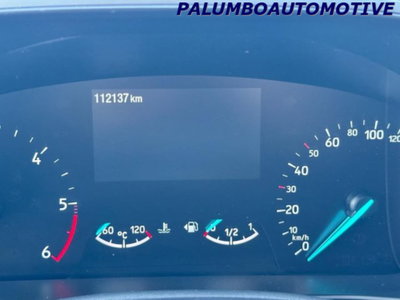 Ford Focus Station Wagon 1.5 EcoBlue 120 CV automatico SW Business (9)