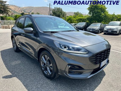 Ford Kuga 1.5 EcoBlue 120 CV 2WD ST-Line (2)