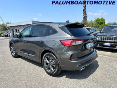 Ford Kuga 1.5 EcoBlue 120 CV 2WD ST-Line (4)