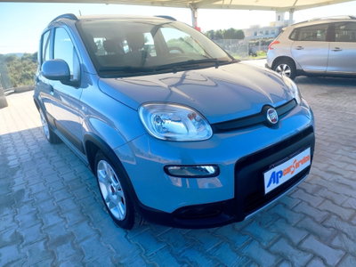 Fiat Panda 1.0 FireFly S&S Hybrid City Cross usata