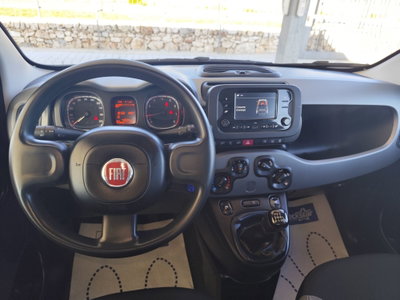 Fiat Panda 1.0 FireFly S&S Hybrid City Cross (14)