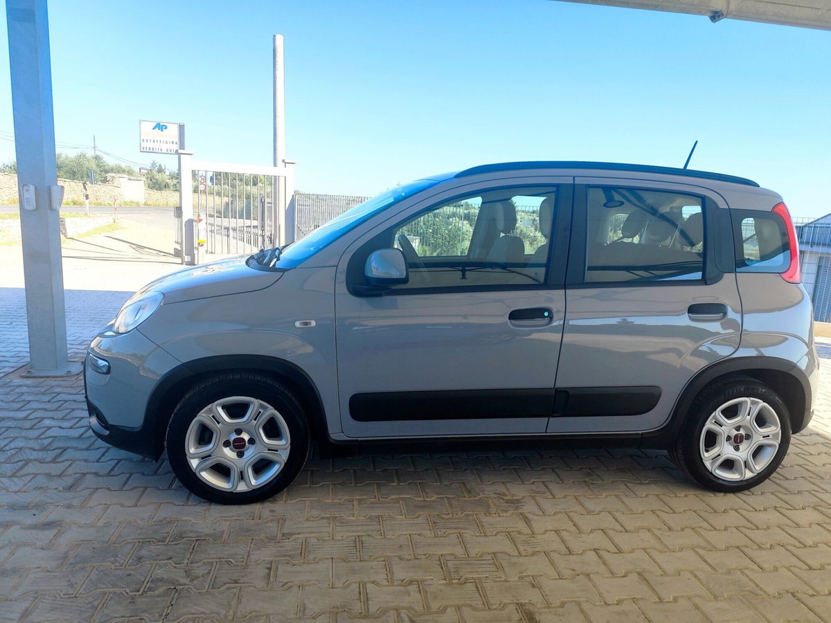 Fiat Panda 1.0 FireFly S&S Hybrid City Cross (5)