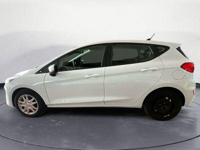 Ford Fiesta 1.5 TDCi 85 CV 3 porte  Business (4)