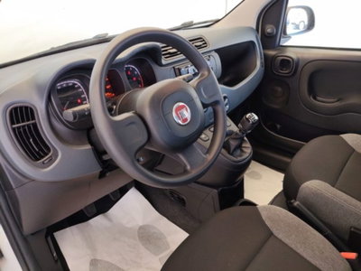 Fiat Panda 1.3 MJT 95 CV S&S Easy (7)
