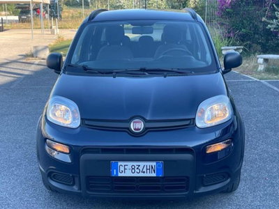 Fiat Panda 1.0 firefly hybrid s&s 70cv 5p.ti (3)