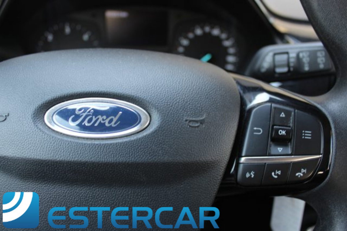 Ford Fiesta 1.5 TDCi 5 porte Plus (17)